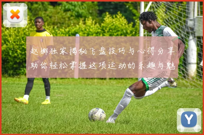 赵娜独家揭秘飞盘技巧与心得分享助你轻松掌握这项运动的乐趣与魅力