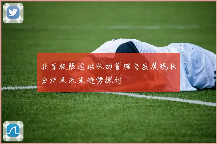 北京极限运动队的管理与发展现状分析及未来趋势探讨