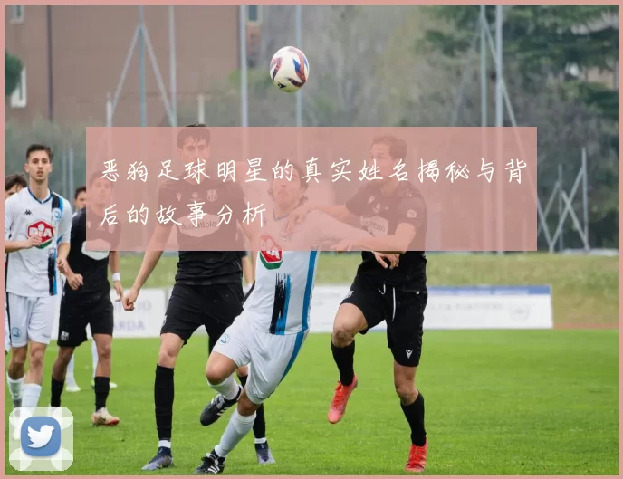 恶狗足球明星的真实姓名揭秘与背后的故事分析