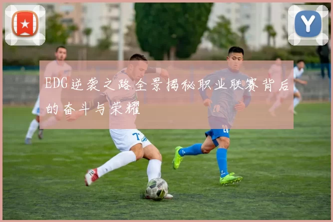 EDG逆袭之路全景揭秘职业联赛背后的奋斗与荣耀