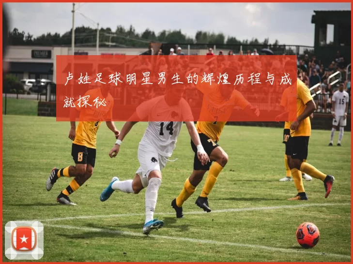 卢姓足球明星男生的辉煌历程与成就探秘