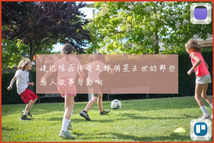 追忆绿茵传奇足球明星去世的那些感人故事与影响