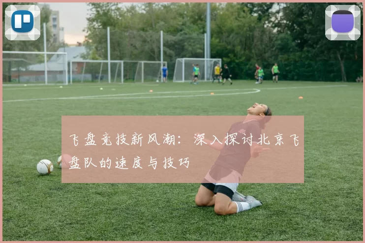 飞盘竞技新风潮：深入探讨北京飞盘队的速度与技巧