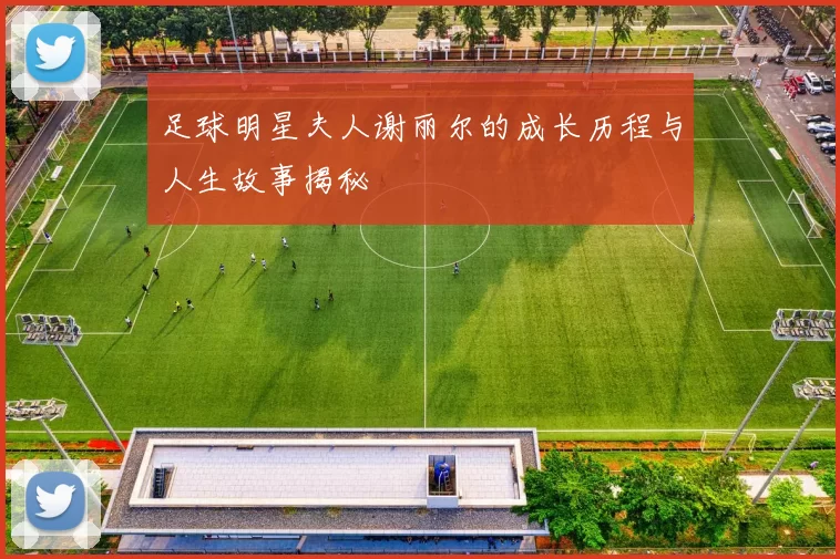 足球明星夫人谢丽尔的成长历程与人生故事揭秘