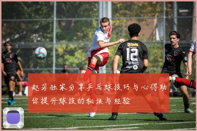 赵芳独家分享乒乓球技巧与心得助你提升球技的秘诀与经验