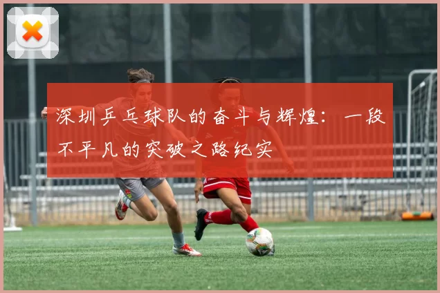 深圳乒乓球队的奋斗与辉煌：一段不平凡的突破之路纪实