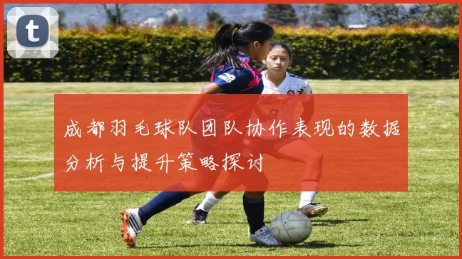 成都羽毛球队团队协作表现的数据分析与提升策略探讨