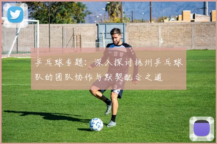 乒乓球专题：深入探讨杭州乒乓球队的团队协作与默契配合之道