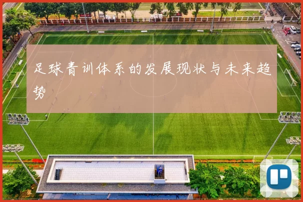 足球青训体系的发展现状与未来趋势