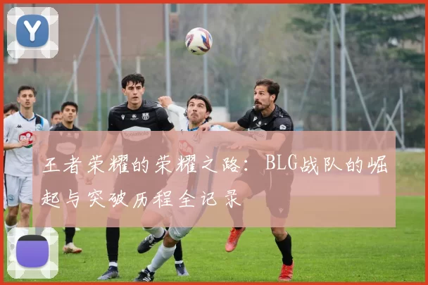 王者荣耀的荣耀之路：BLG战队的崛起与突破历程全记录