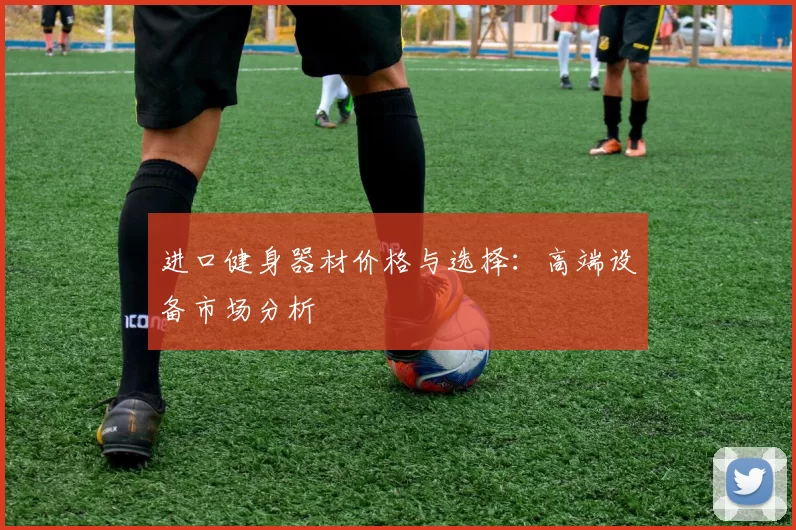 进口健身器材价格与选择：高端设备市场分析