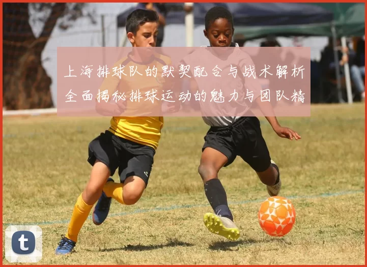 上海排球队的默契配合与战术解析全面揭秘排球运动的魅力与团队精神