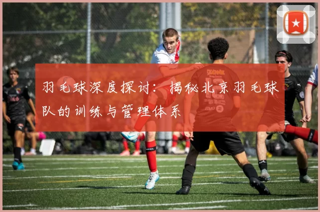 羽毛球深度探讨：揭秘北京羽毛球队的训练与管理体系