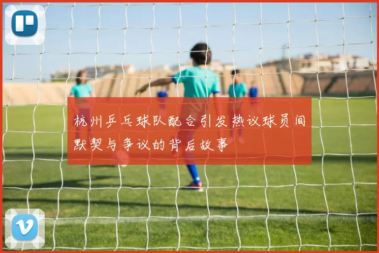 杭州乒乓球队配合引发热议球员间默契与争议的背后故事